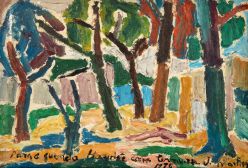 Martins de Porangaba - Paisagem