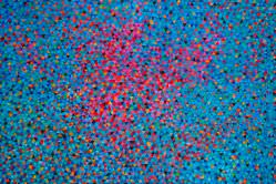 Marysia Portinari - Red Stargazing