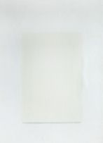 Mauro Piva - Auto-Retrato em Branco - Papel em Branco III