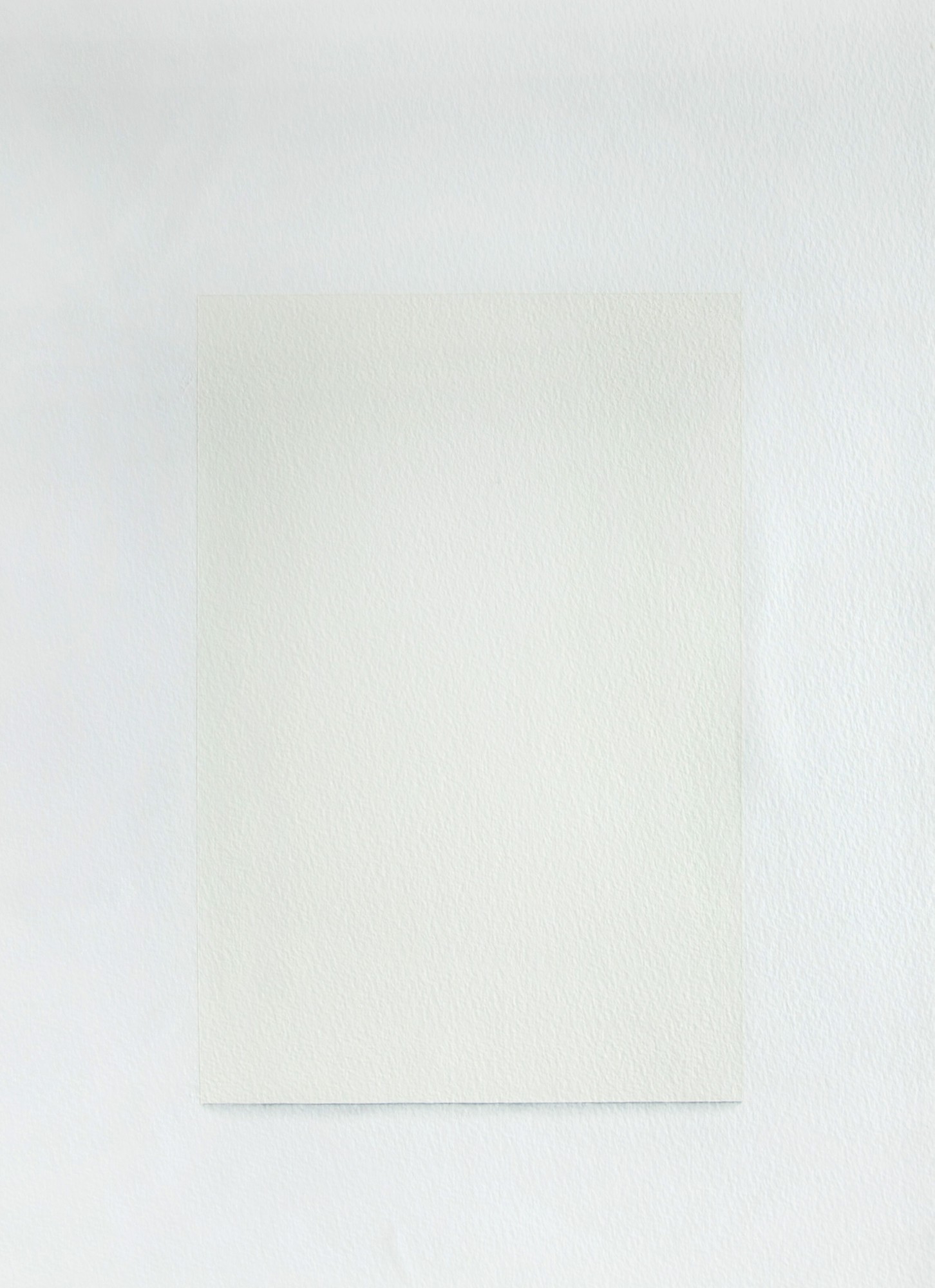 Mauro Piva - Auto-Retrato em Branco - Papel em Branco III