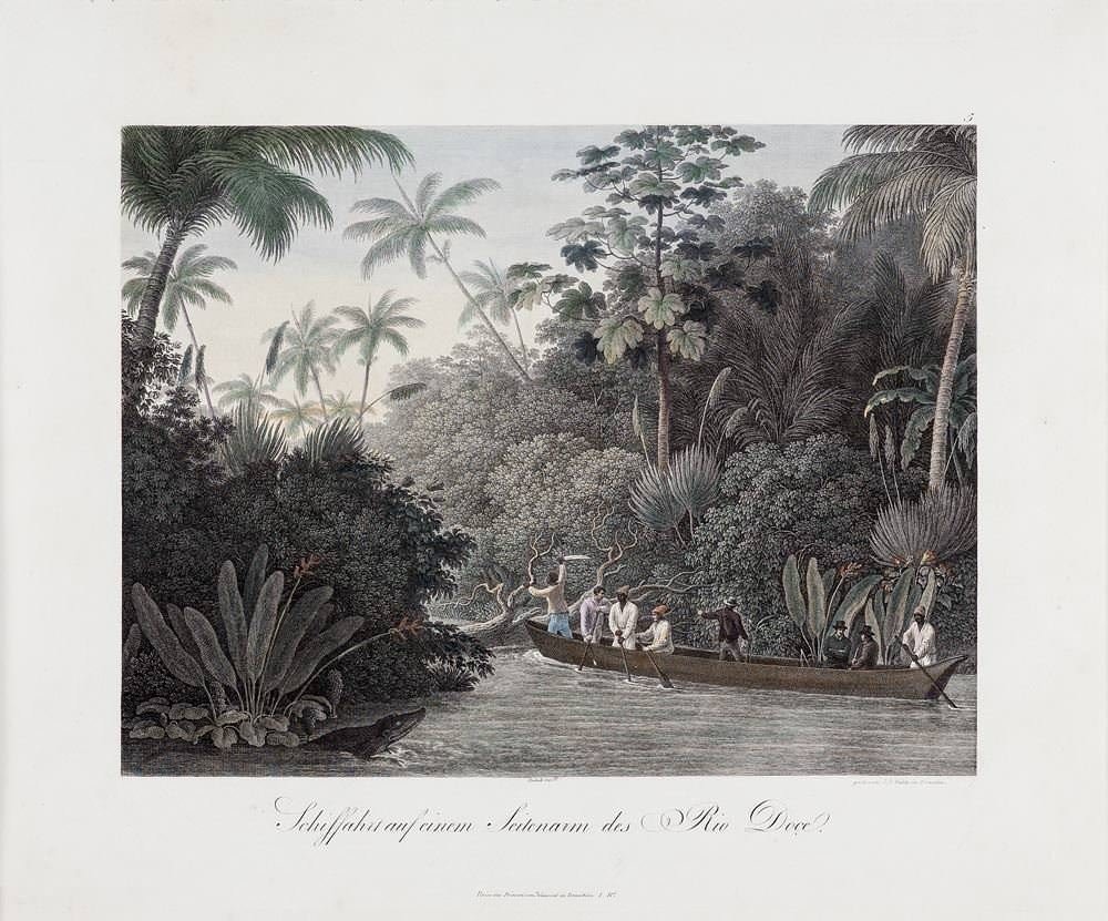 Maximilian Von Wied-neuwied - EXPEDIÇÃO FLUVIAL NUM BRAÇO DO RIO DOCE