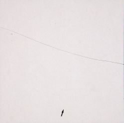 Mira Schendel - Vetor, Letra e Linhas IX