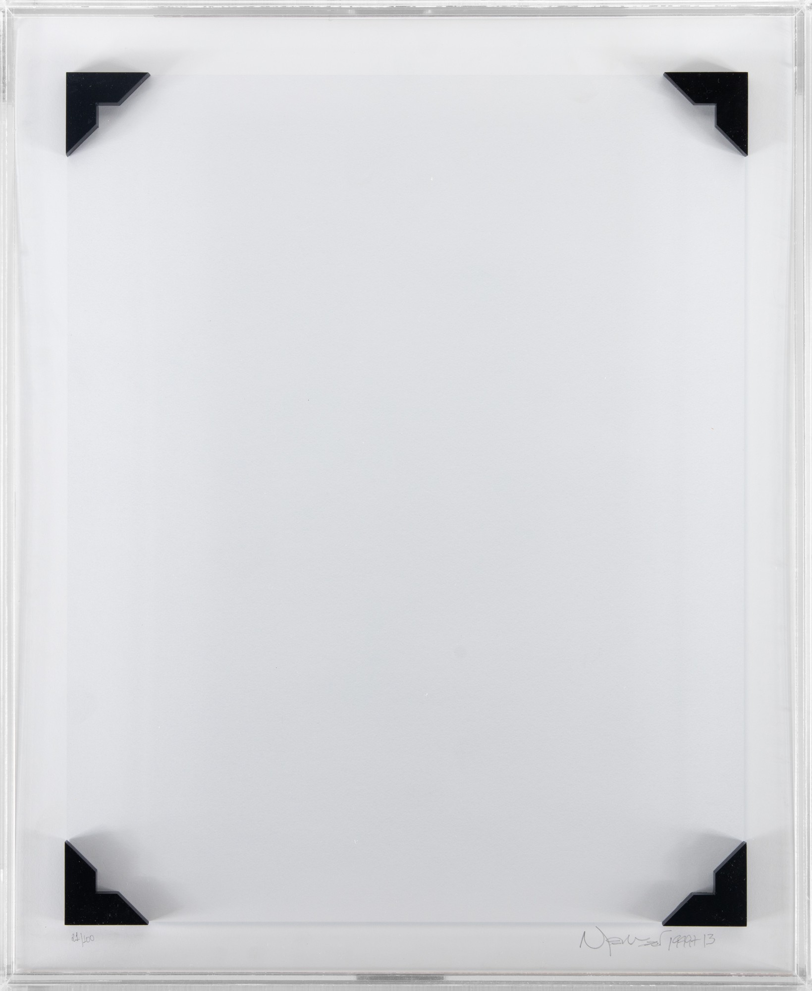 Nelson Leirner - A Câmara Clara