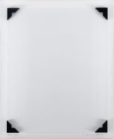 Nelson Leirner - A Câmara Clara