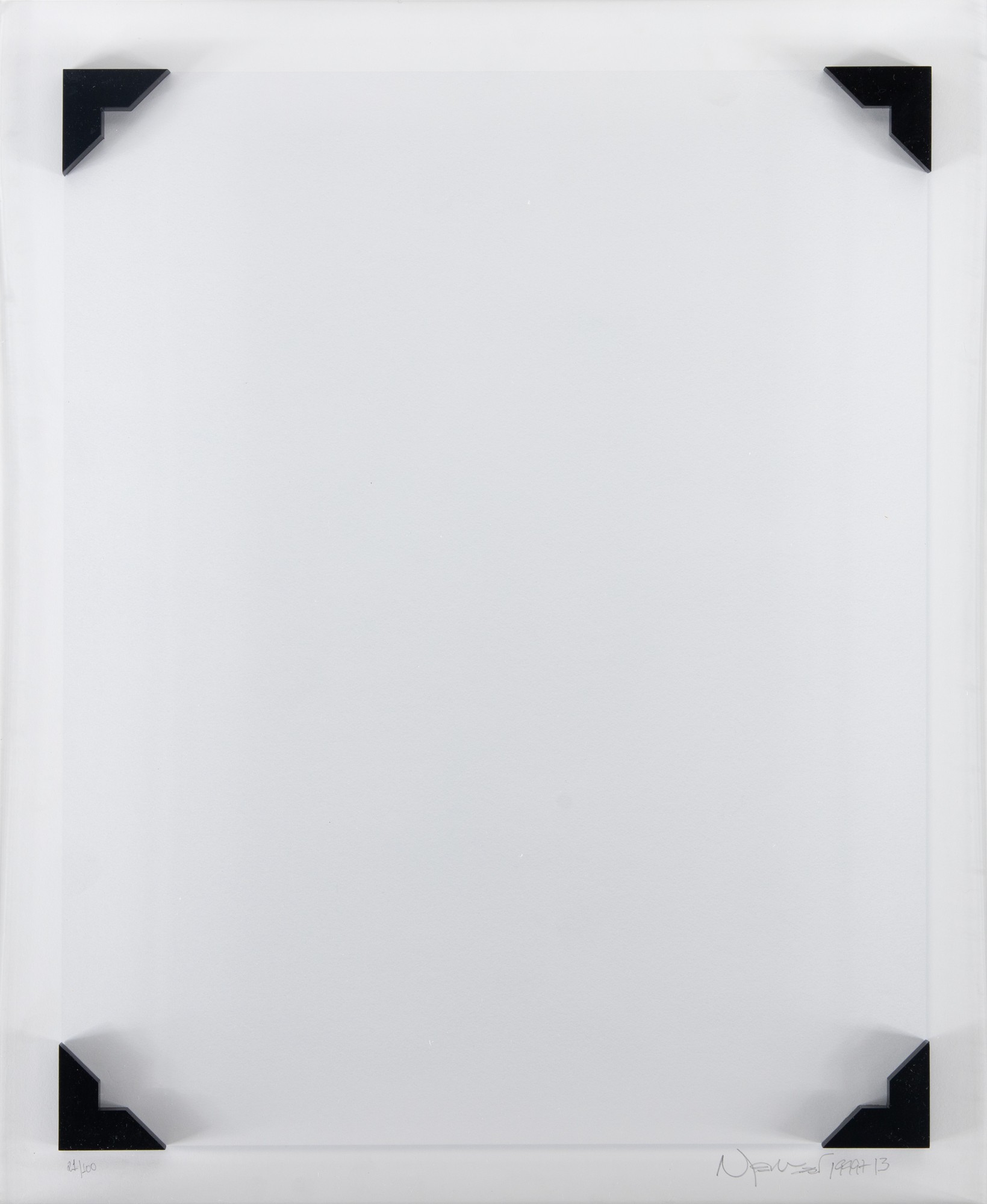 Nelson Leirner - A Câmara Clara