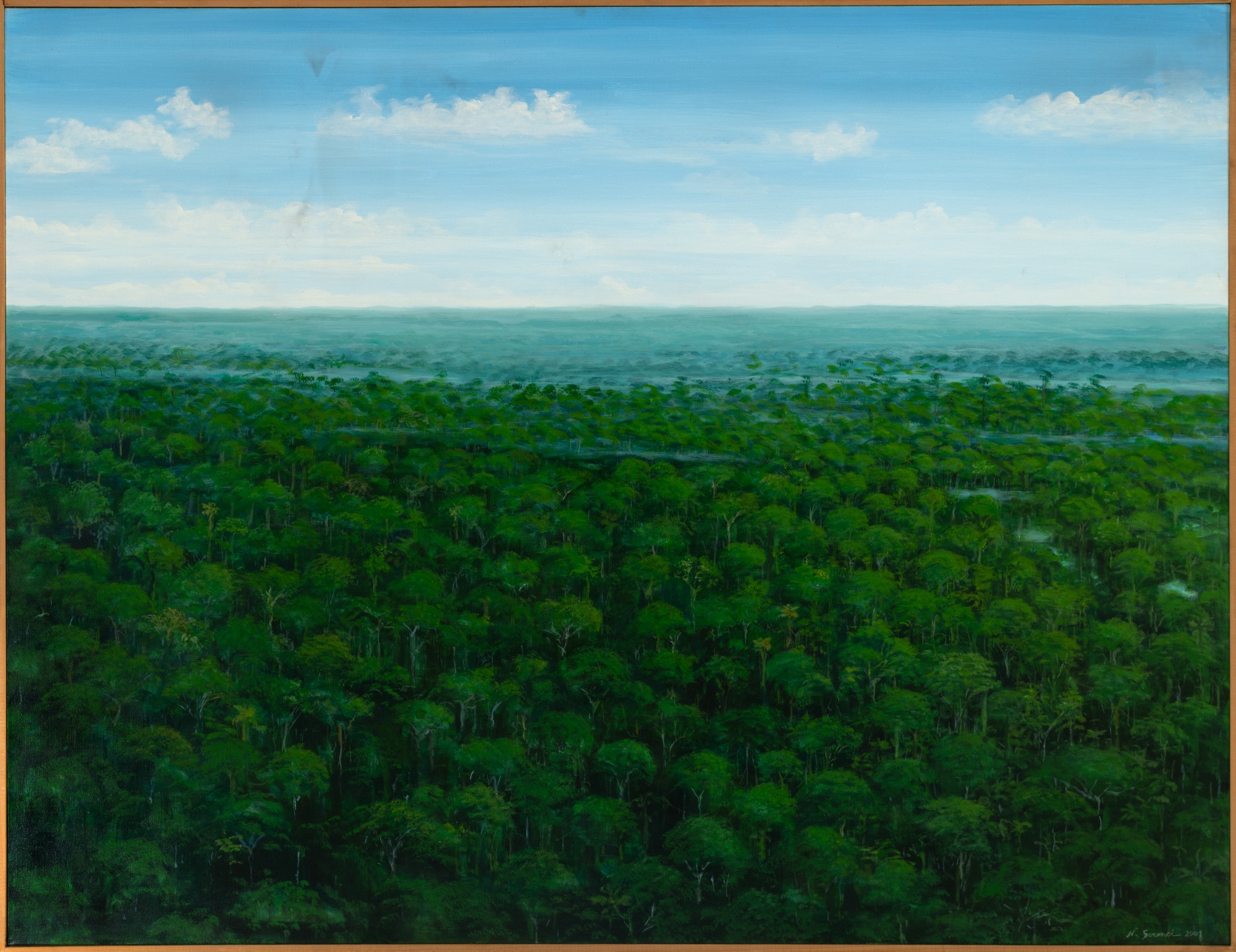 Nelson Screnci - Forest With Fog