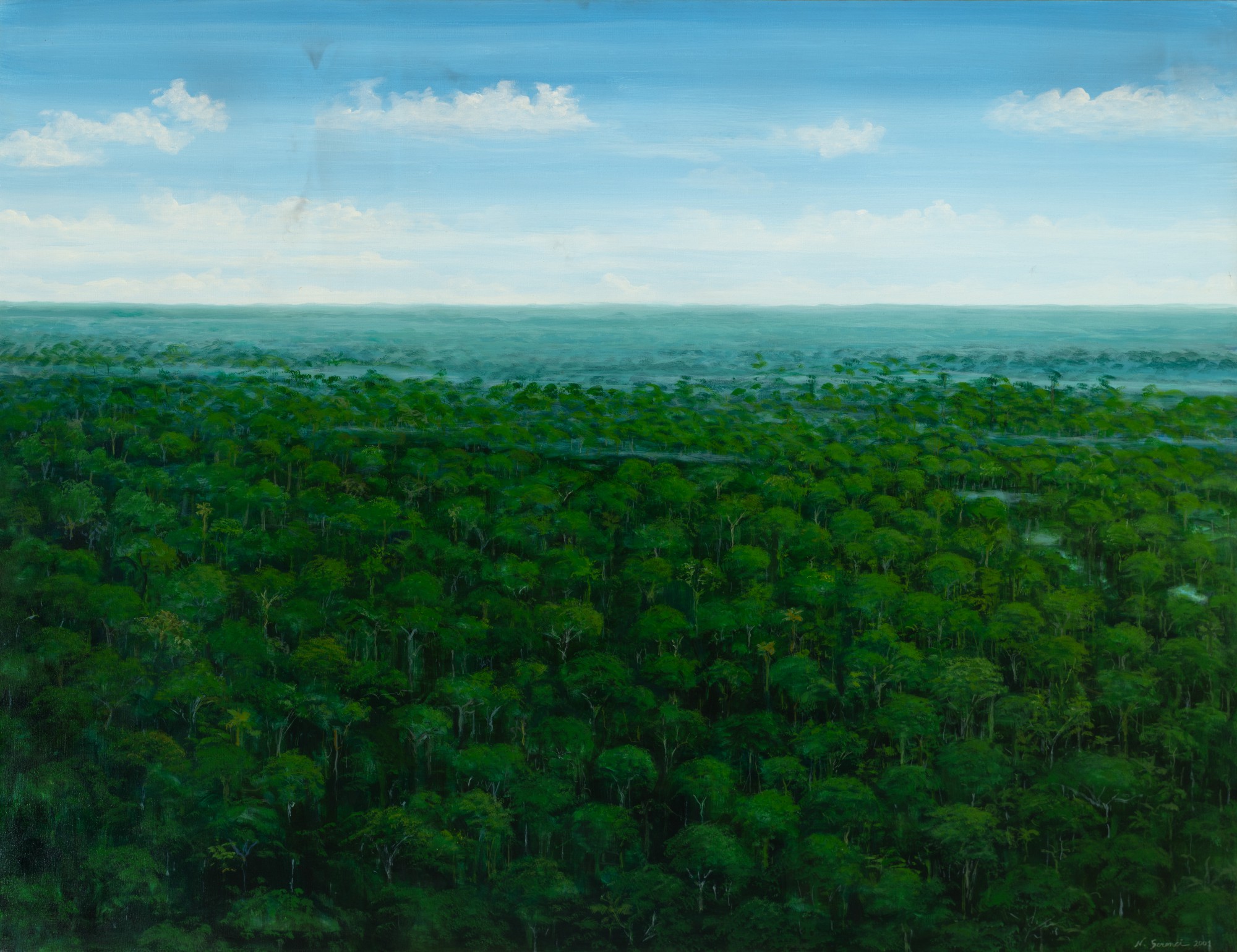 Nelson Screnci - Forest With Fog