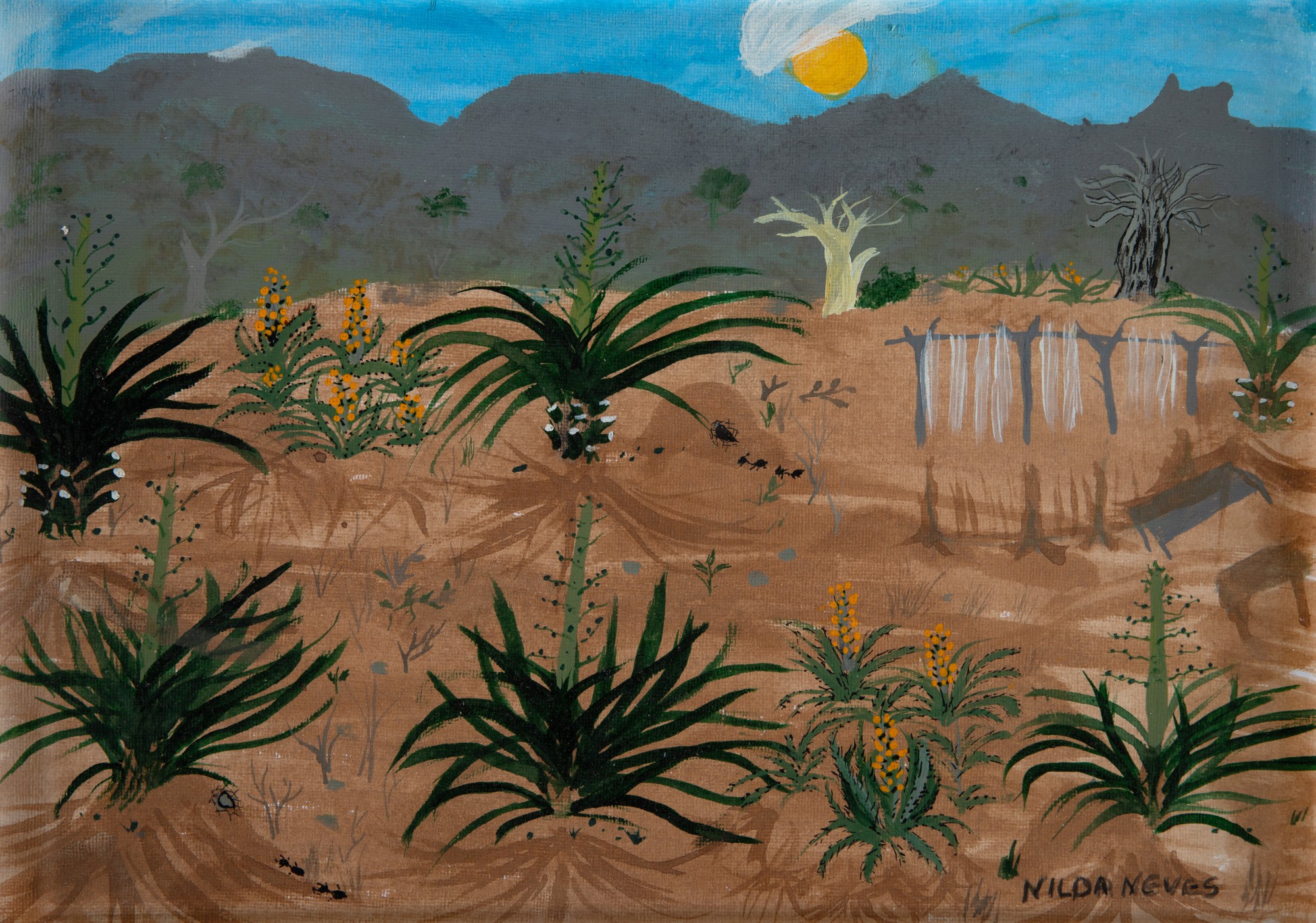 Nilda Neves - Sertão
