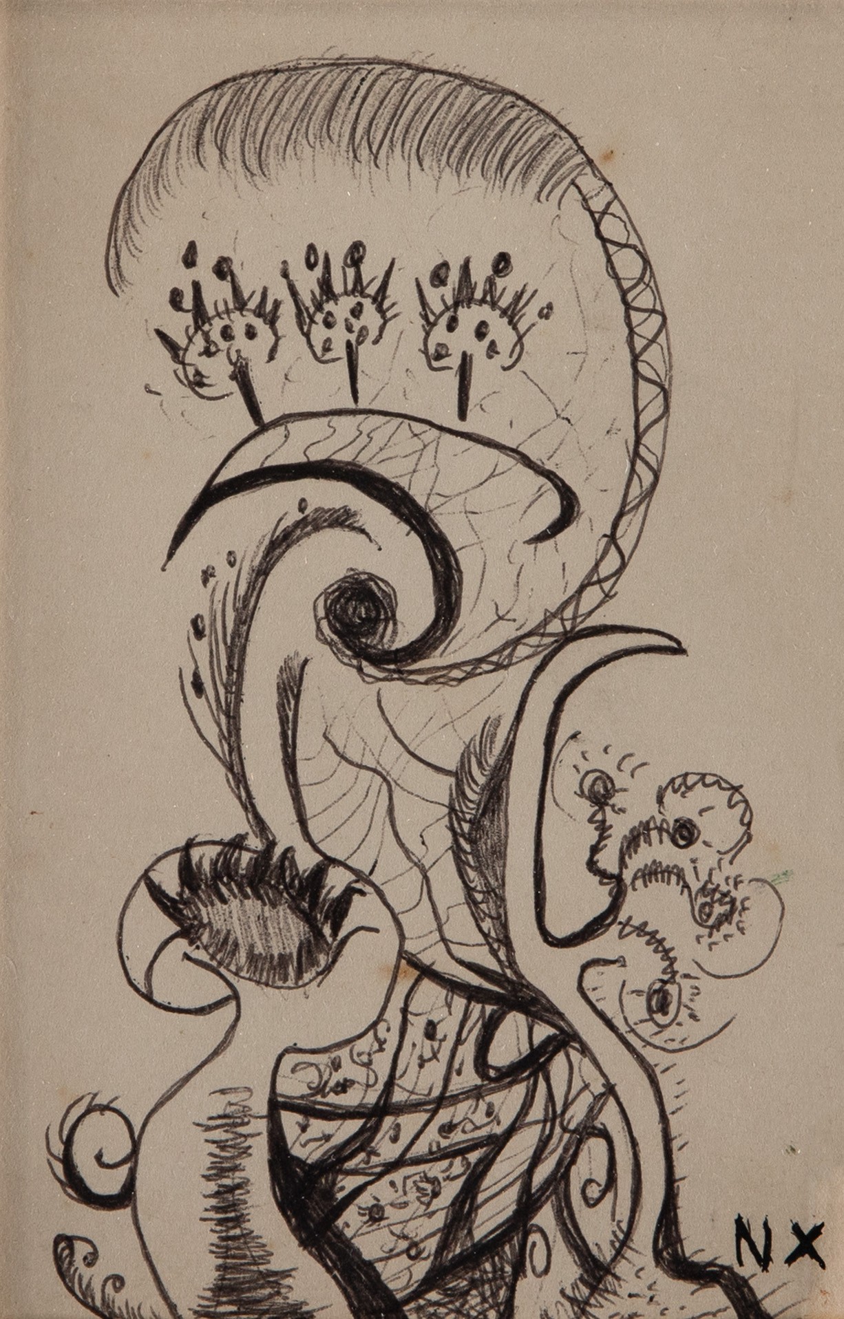 Niobe Xandó - Fantastic Flower