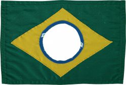 Raul Mourão - The New Brasillian Flag #2