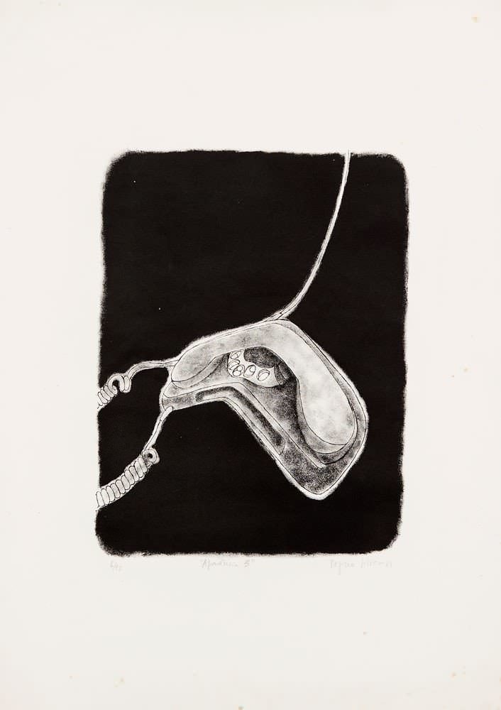 Regina Silveira - Aparência 3