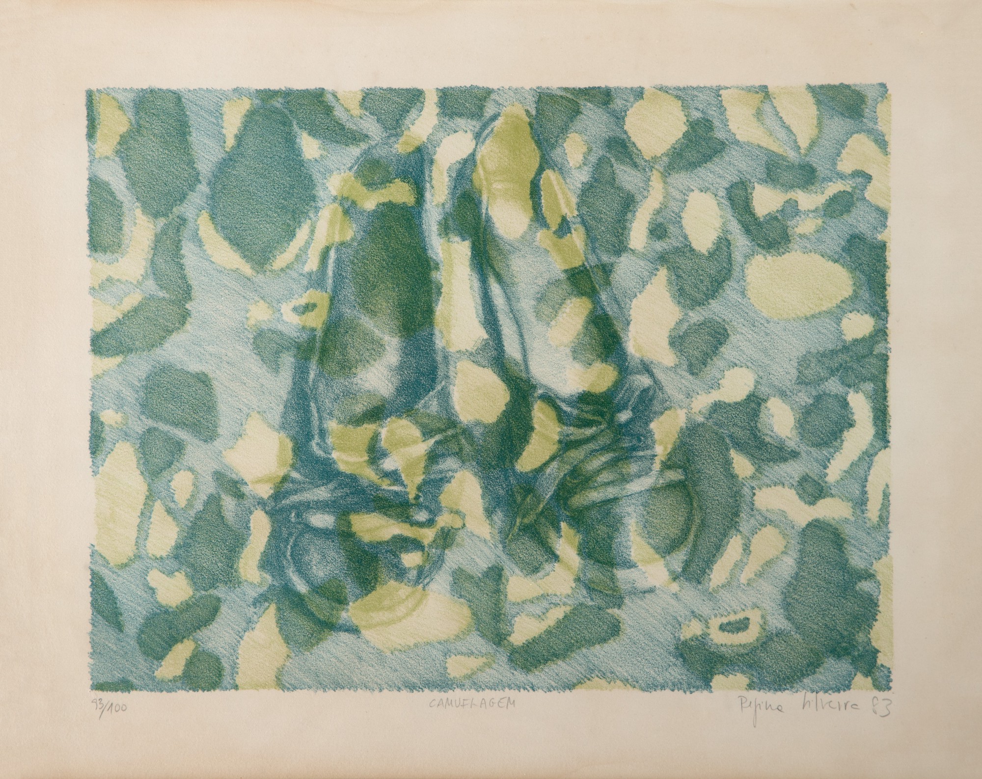 Regina Silveira - Camuflagem