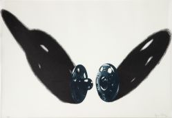 Regina Silveira - Série Armarinhos