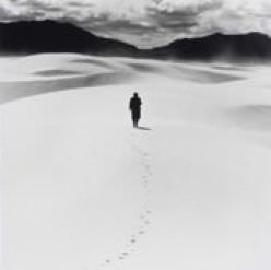 Robert George - White Sands Traveler