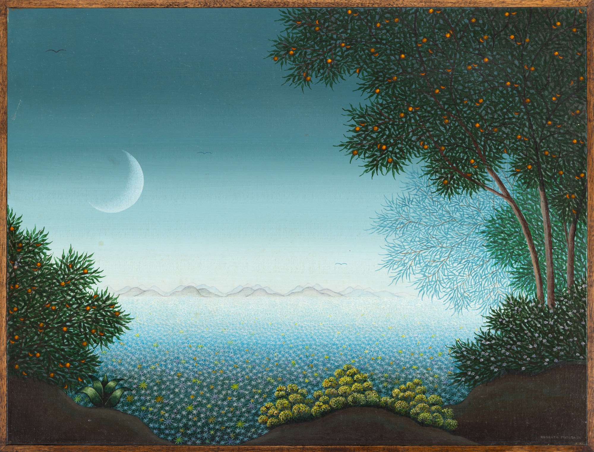 Roberto Feitosa - Moon Night
