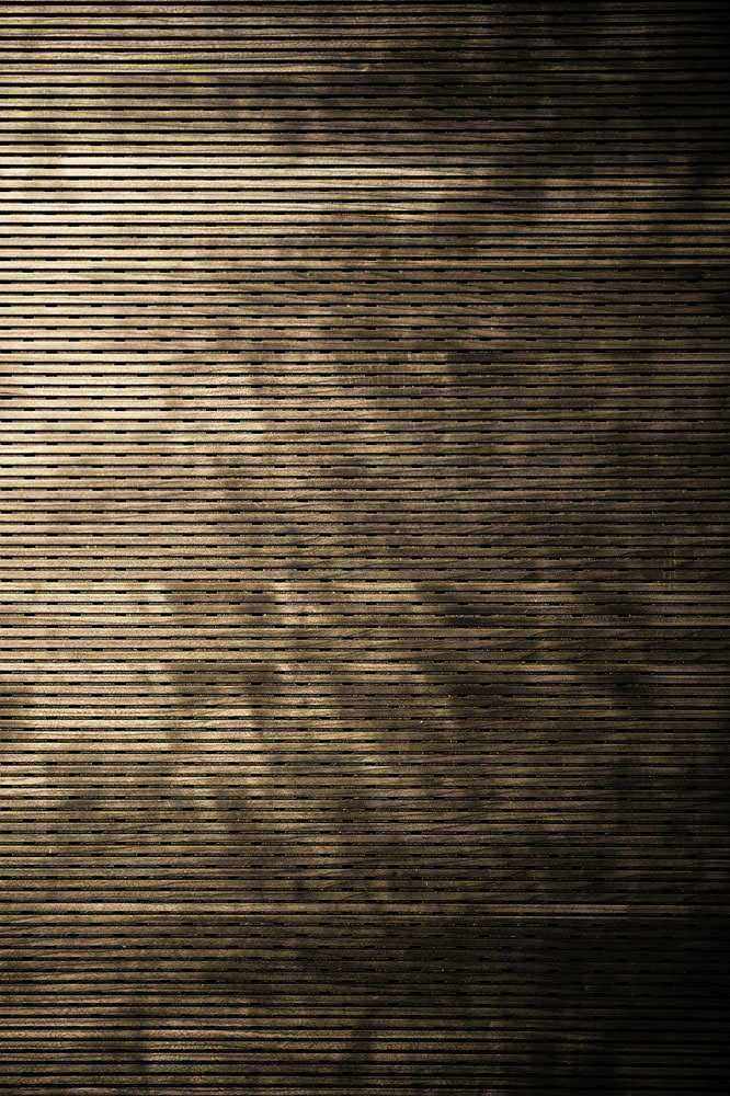 Rodrigo Frota - Série Pictoriais