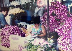 Rui Mendes - Mercado de flores 1