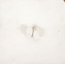 Sergio Camargo - Relevo