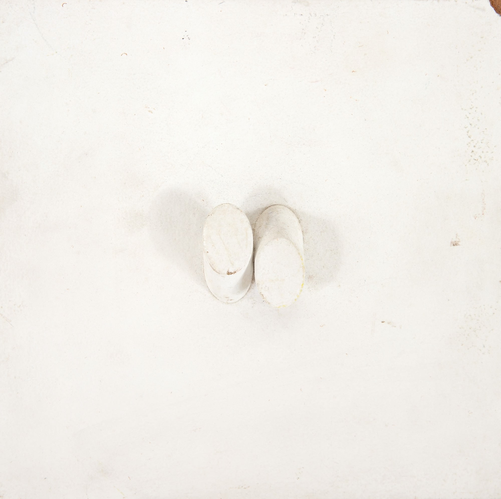 Sergio Camargo - Relevo