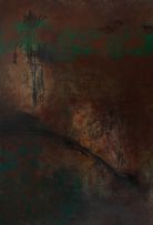 Silvia Mecozzi - Sem Título