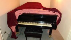 Steinway & Sons Moldel D - Piano