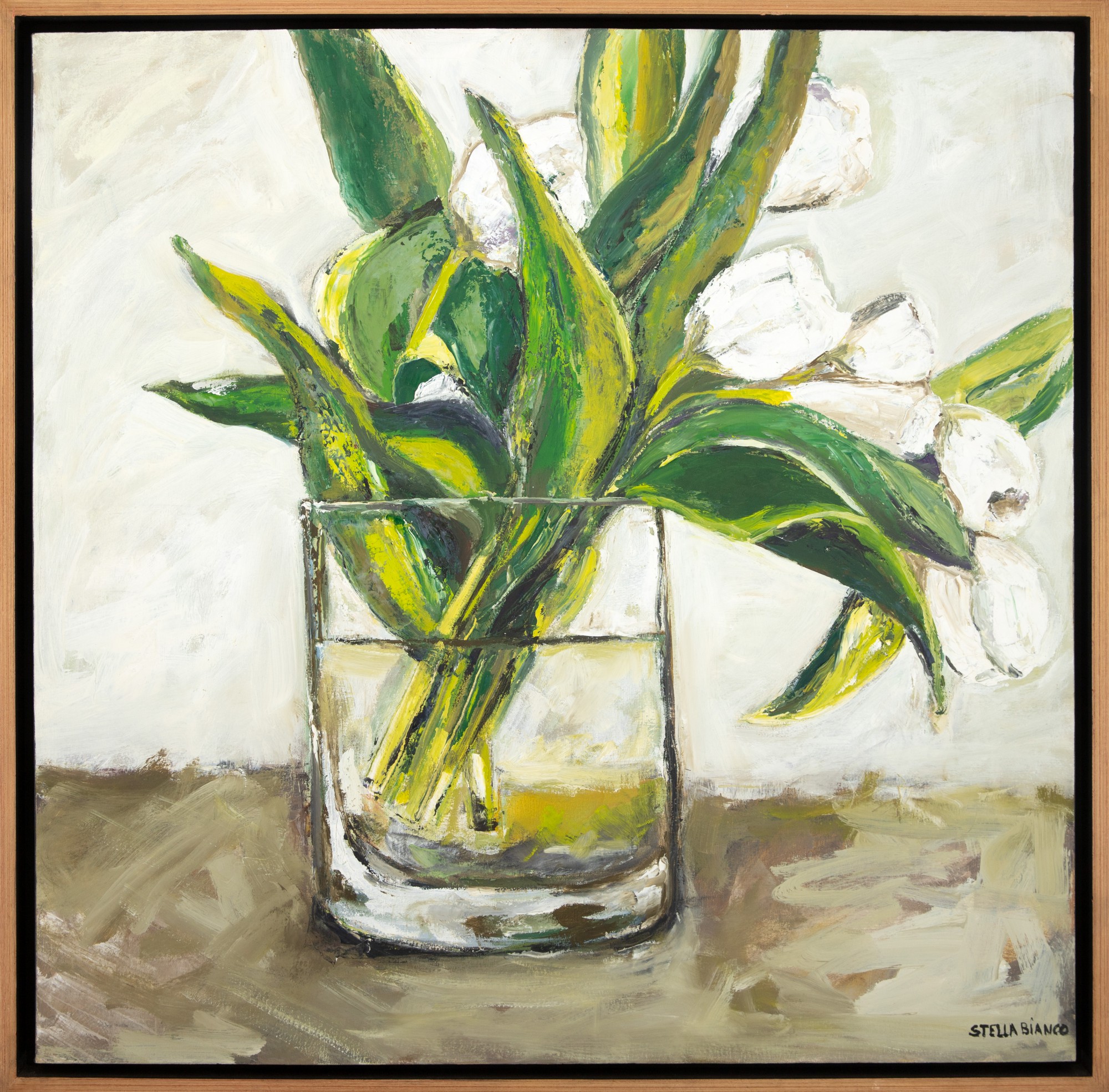 Stella Bianco - Tulipas Brancas no Vaso