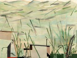 Takashi Fukushima - Cidade e Campo