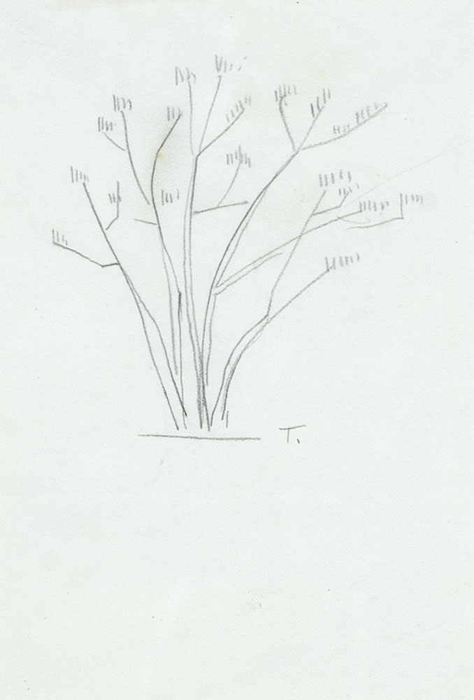 Tarsila do Amaral - Arbusto