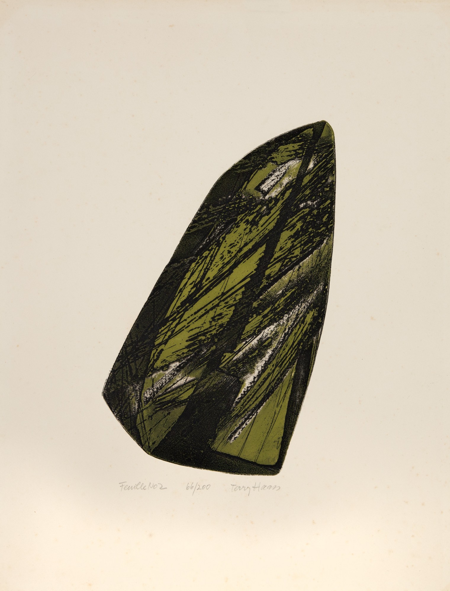 Terry Haas - Leaf