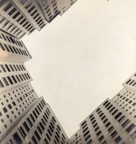 Thomaz Farkas - Céu e Terra