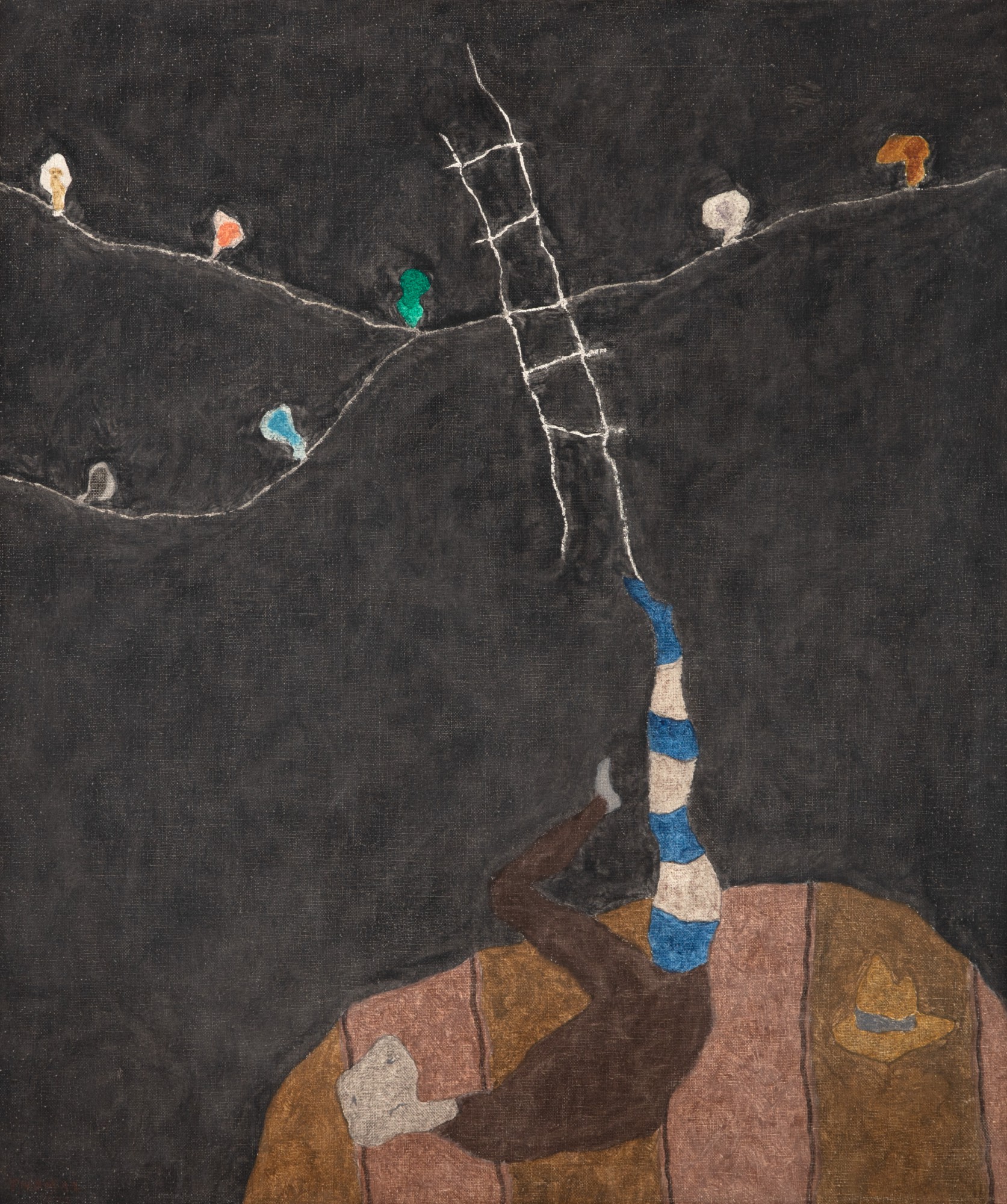 Thomaz Ianelli - The Contortionist