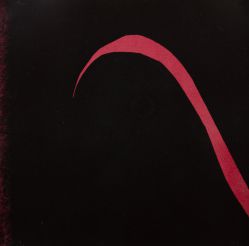 Tomie Ohtake - Boi Tatá