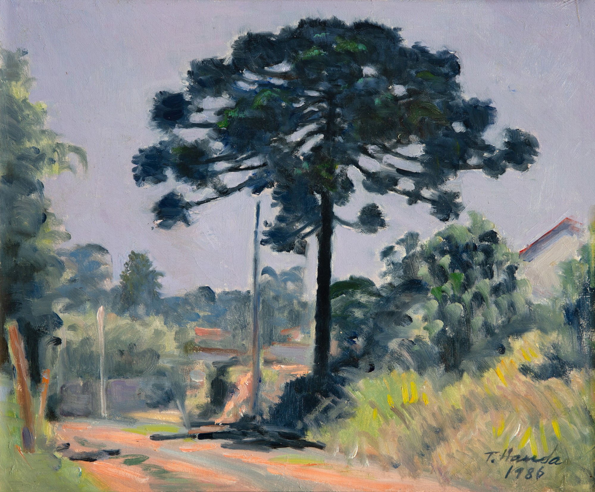 Tomoo Handa - Paisagem