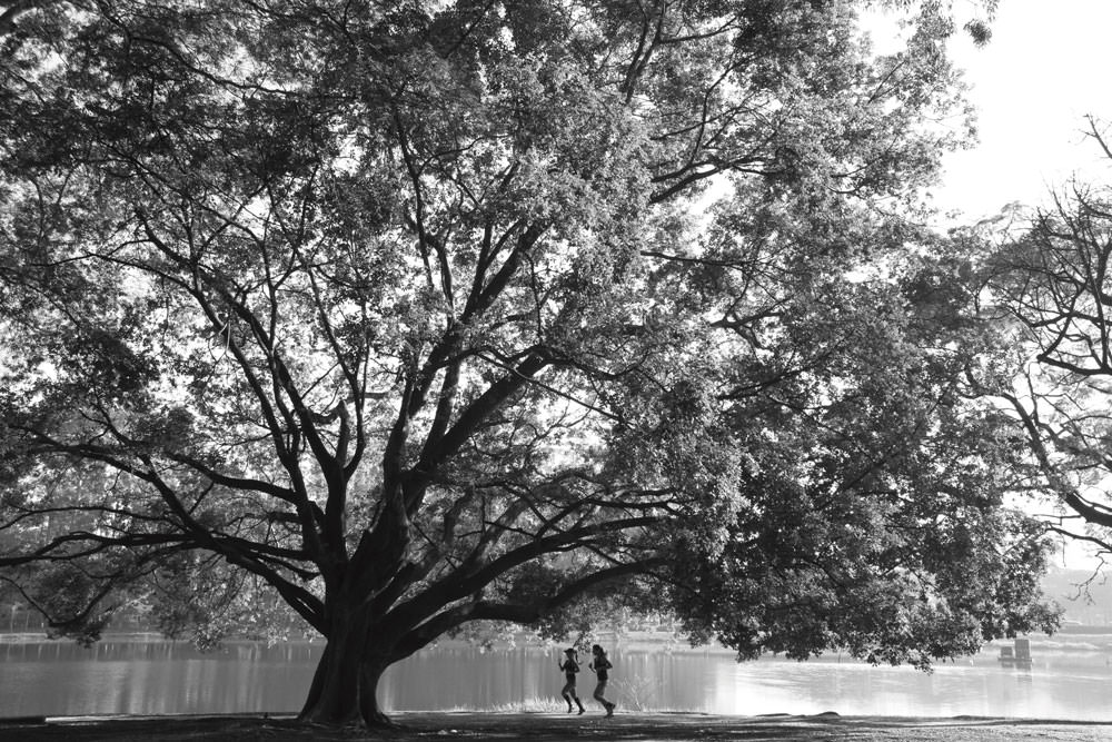 Val Júnior - Série Parque do Ibirapuera