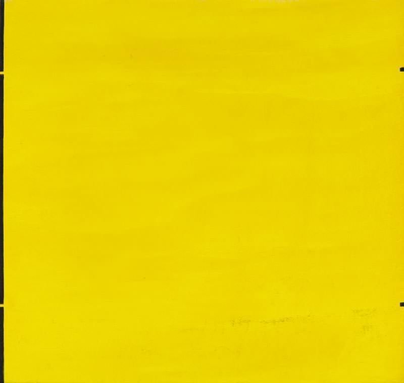 Willys de Castro - Objeto Ativo