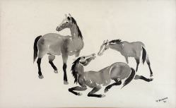 Yoshiya Takaoka - Cavalos