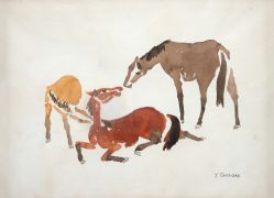 Yoshiya Takaoka - Cavalos