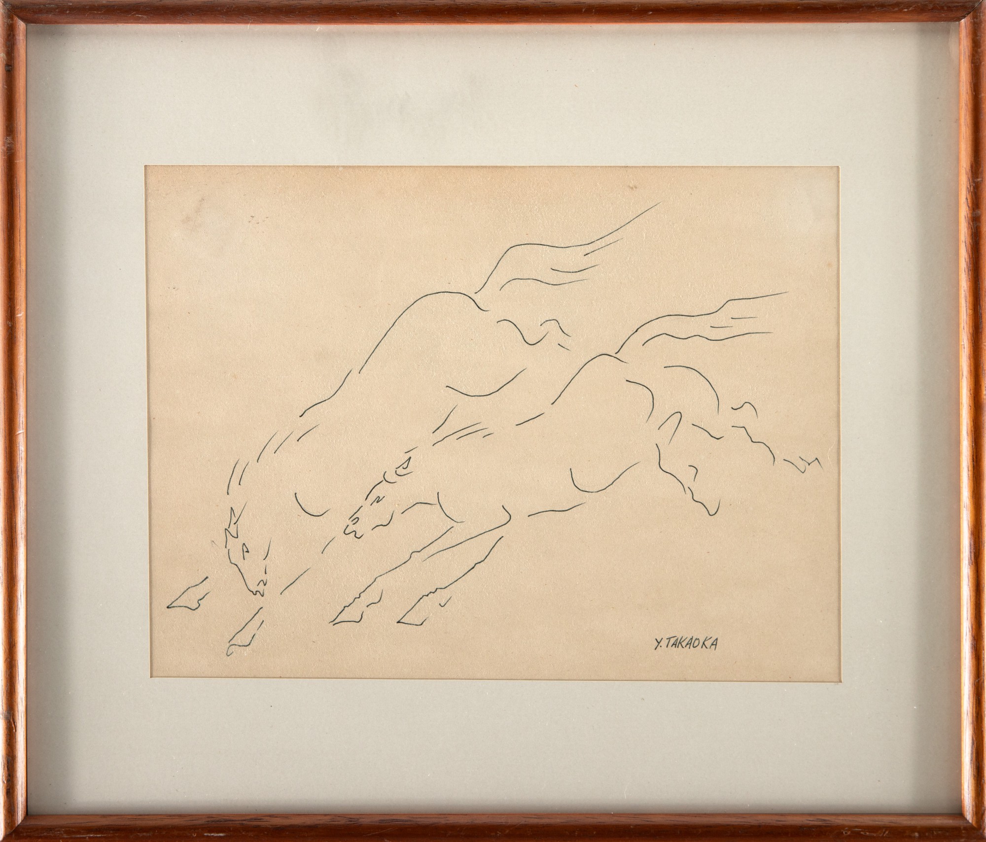 Yoshiya Takaoka - Cavalos