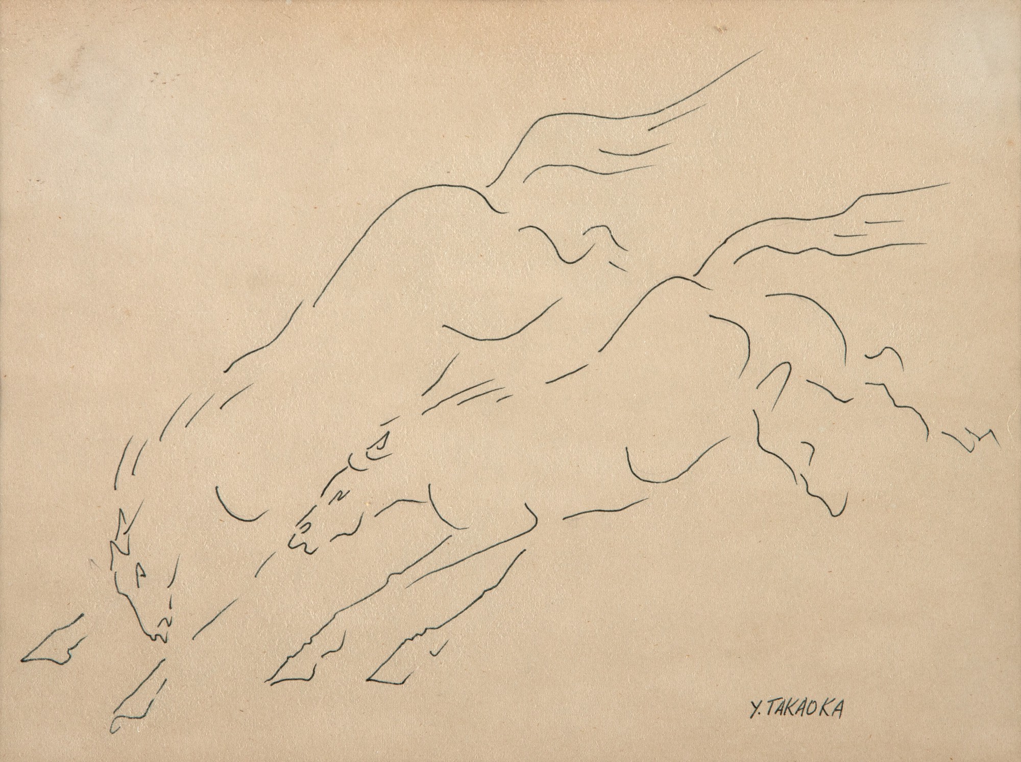 Yoshiya Takaoka - Cavalos