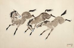 Yoshiya Takaoka - Cavalos