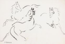 Yoshiya Takaoka - Cavalos