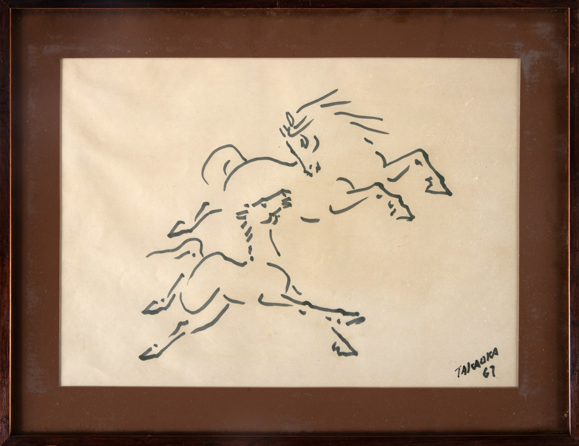 Yoshiya Takaoka - Cavalos