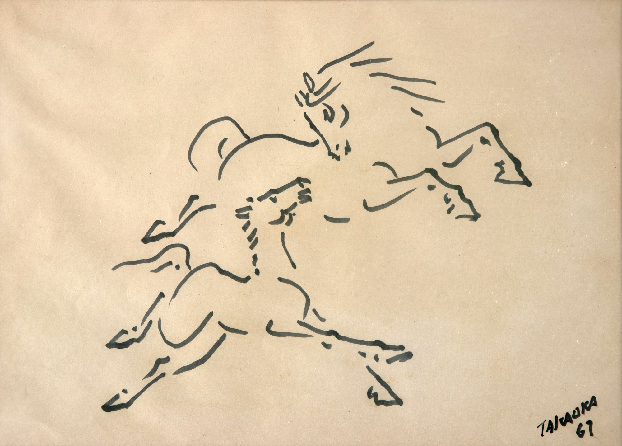 Yoshiya Takaoka - Cavalos