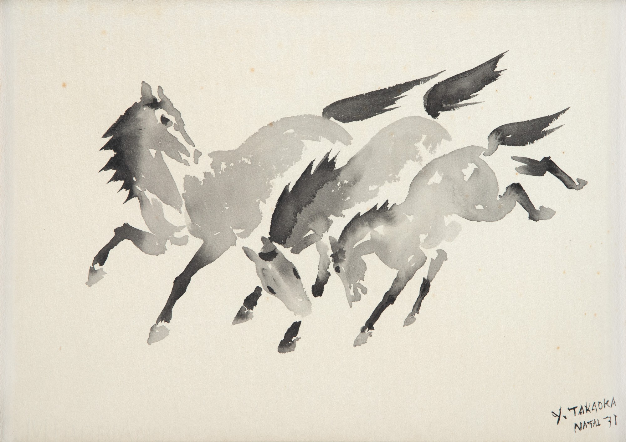 Yoshiya Takaoka - Cavalos