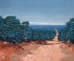 Yuji Tamaki - Cafezal Dourado