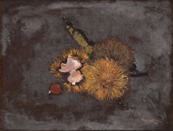 Yuji Tamaki - Natureza Morta