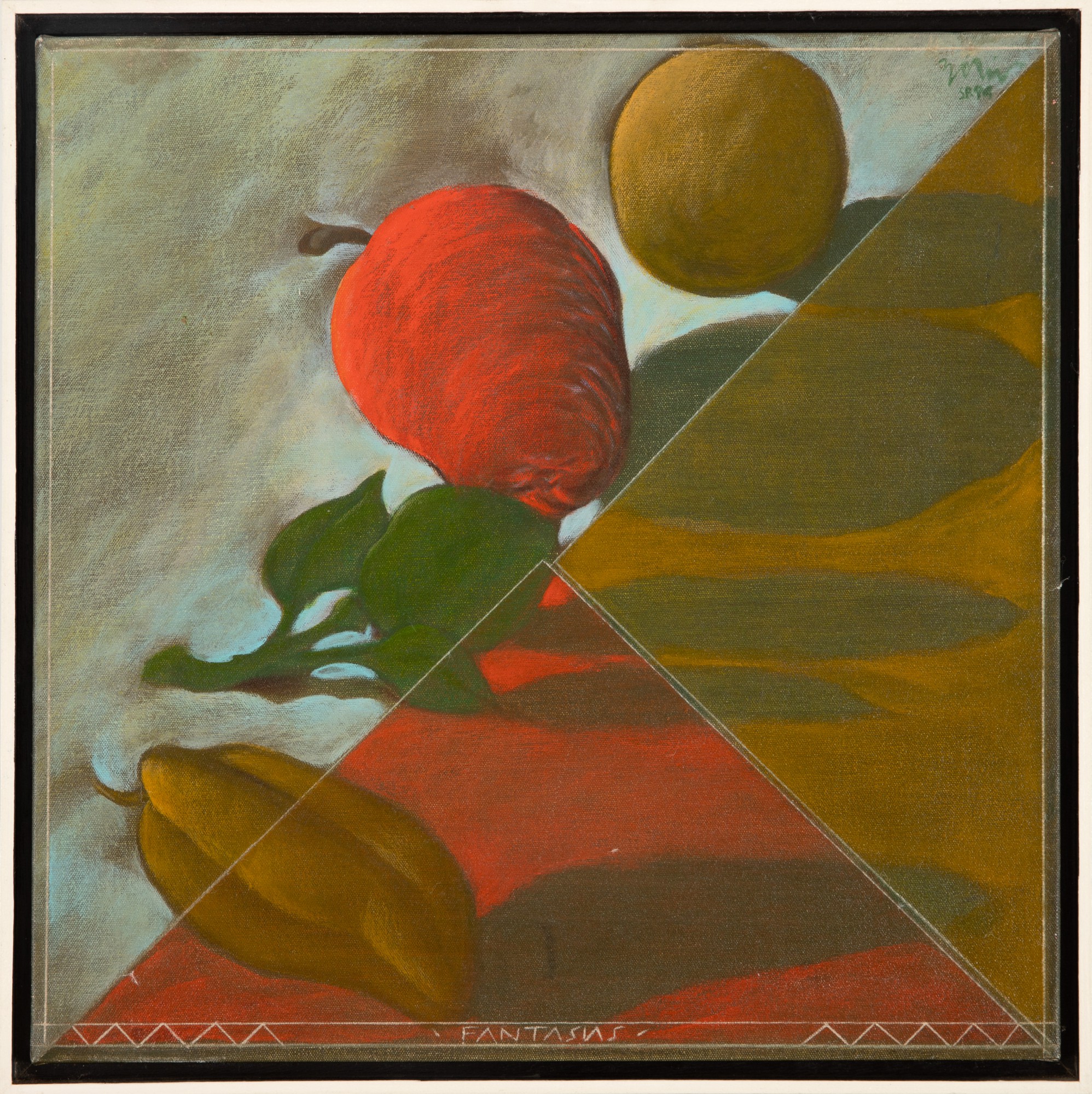 Zélio Alves Pinto - Fantasias